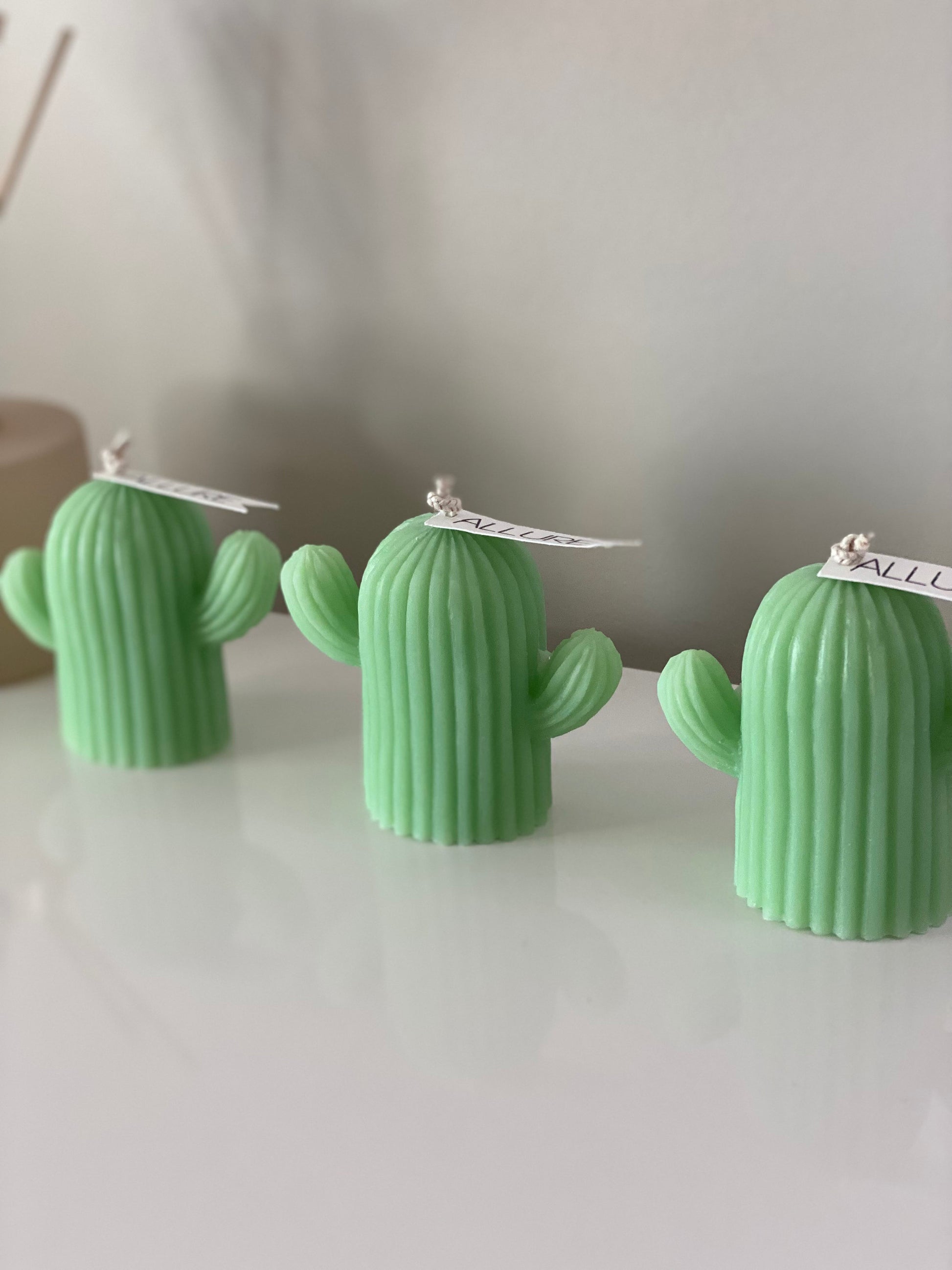Large Cactus Candle | Freestanding Desert Cactus Plant Candle | Natural Soy Wax Candle