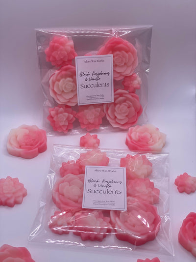 Black Raspberry & Vanilla Succulents Wax Melts