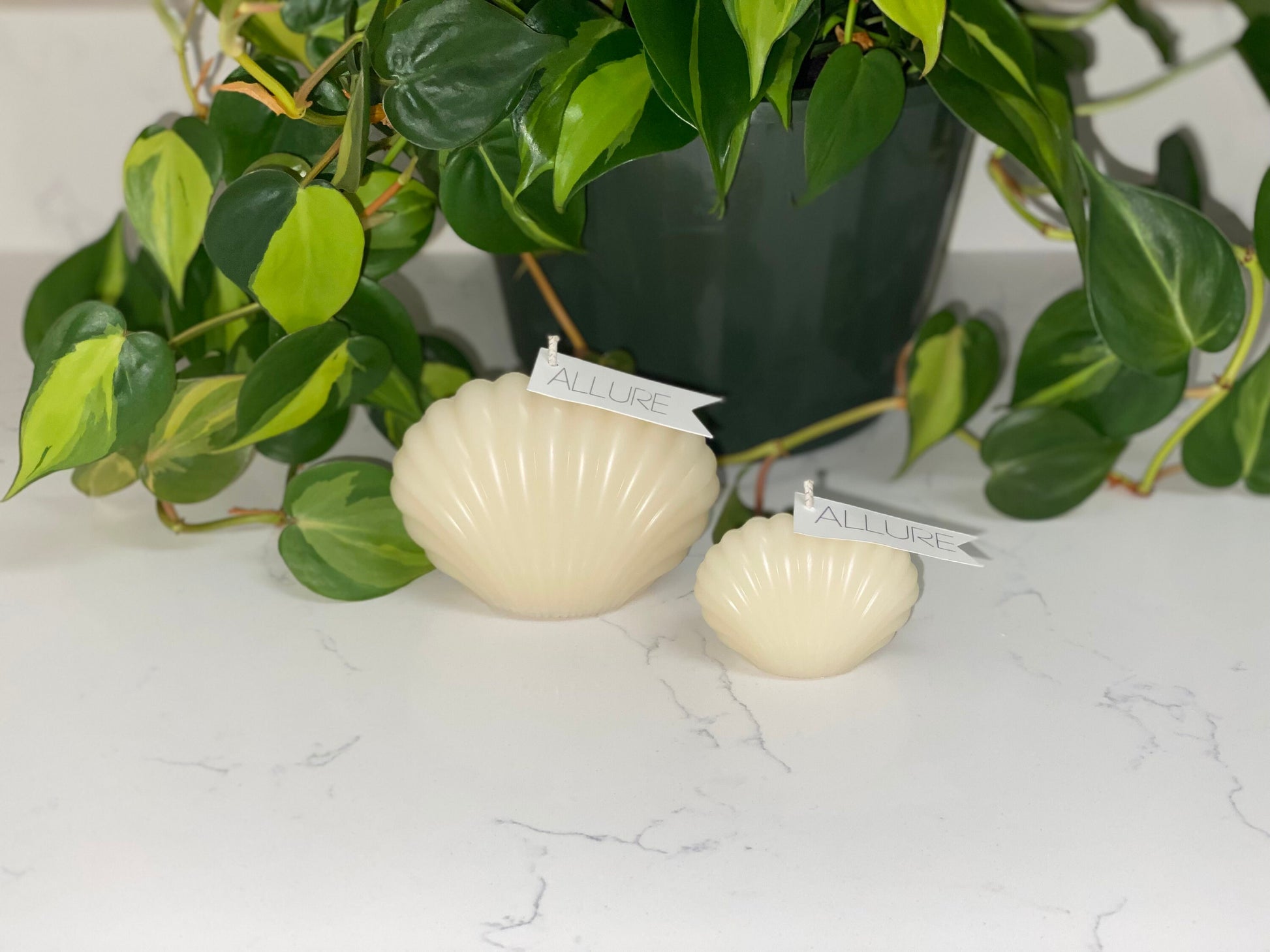 Seashell All Natural Soy Candle | Large & Mini Sculptural Candle Table Decor Shell Set