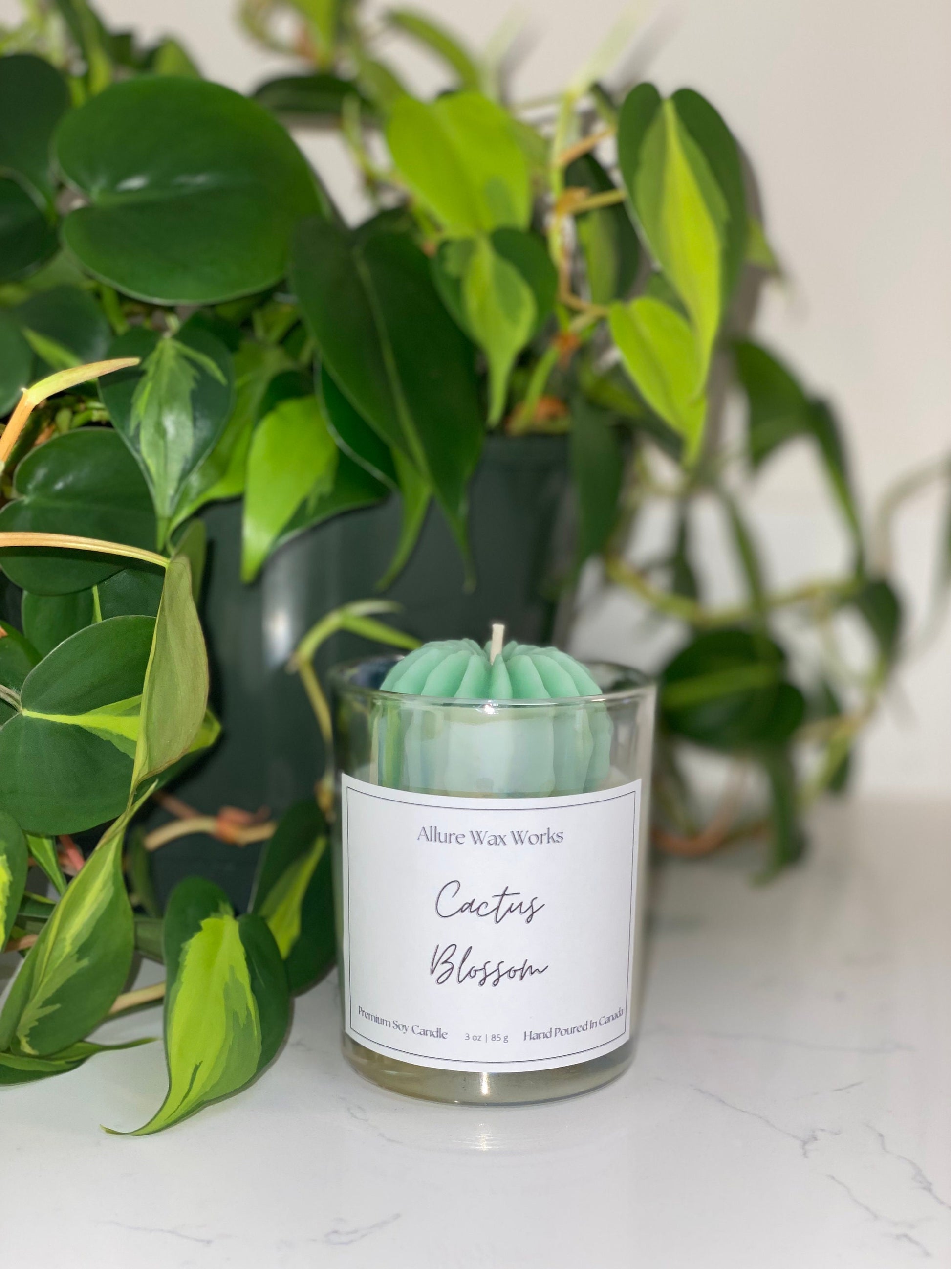 Cactus Blossom Candle | All Natural Soy Cactus Candle