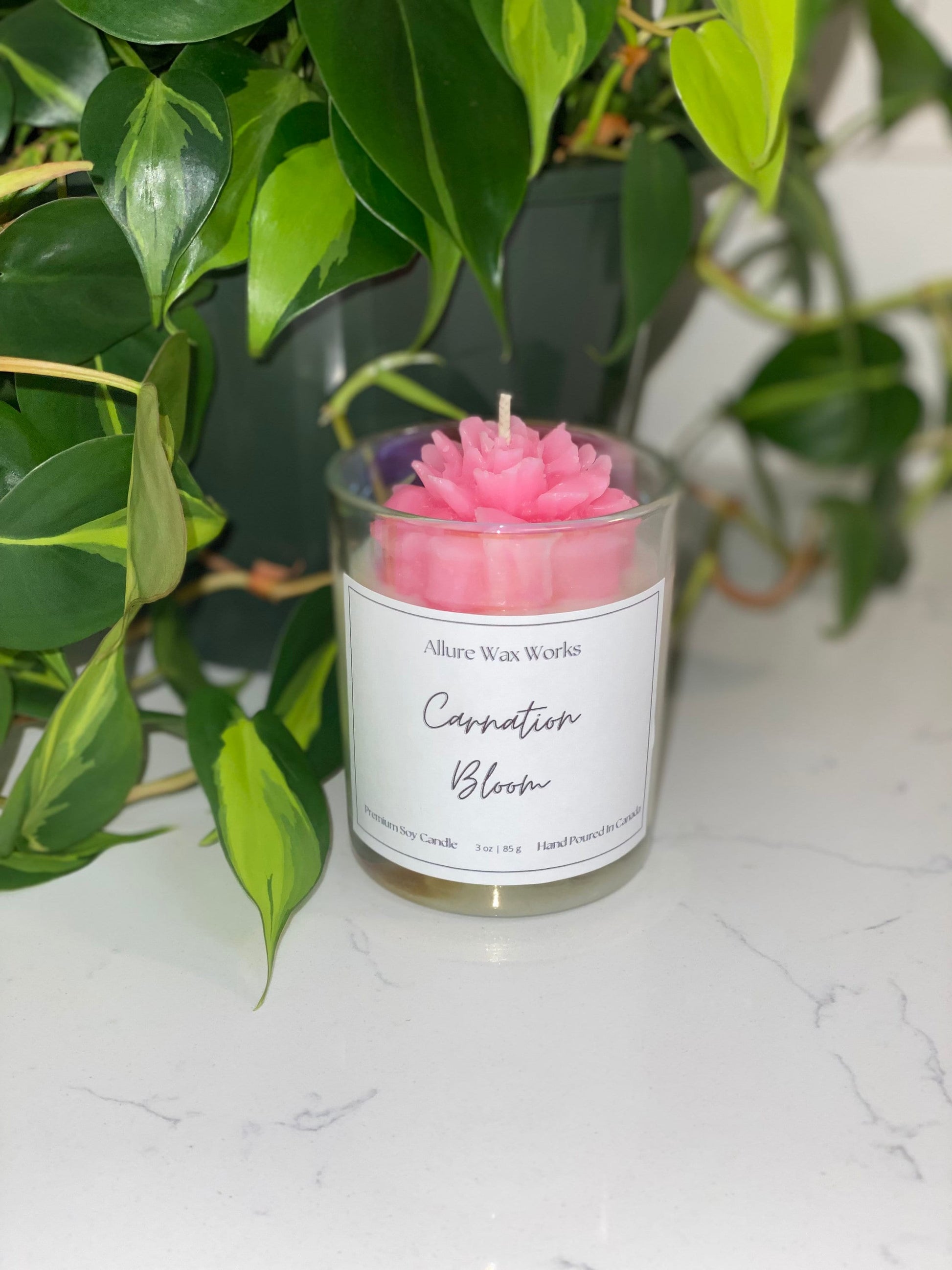 Carnation Bloom Candle | All Natural Soy Carnation Flower Candle