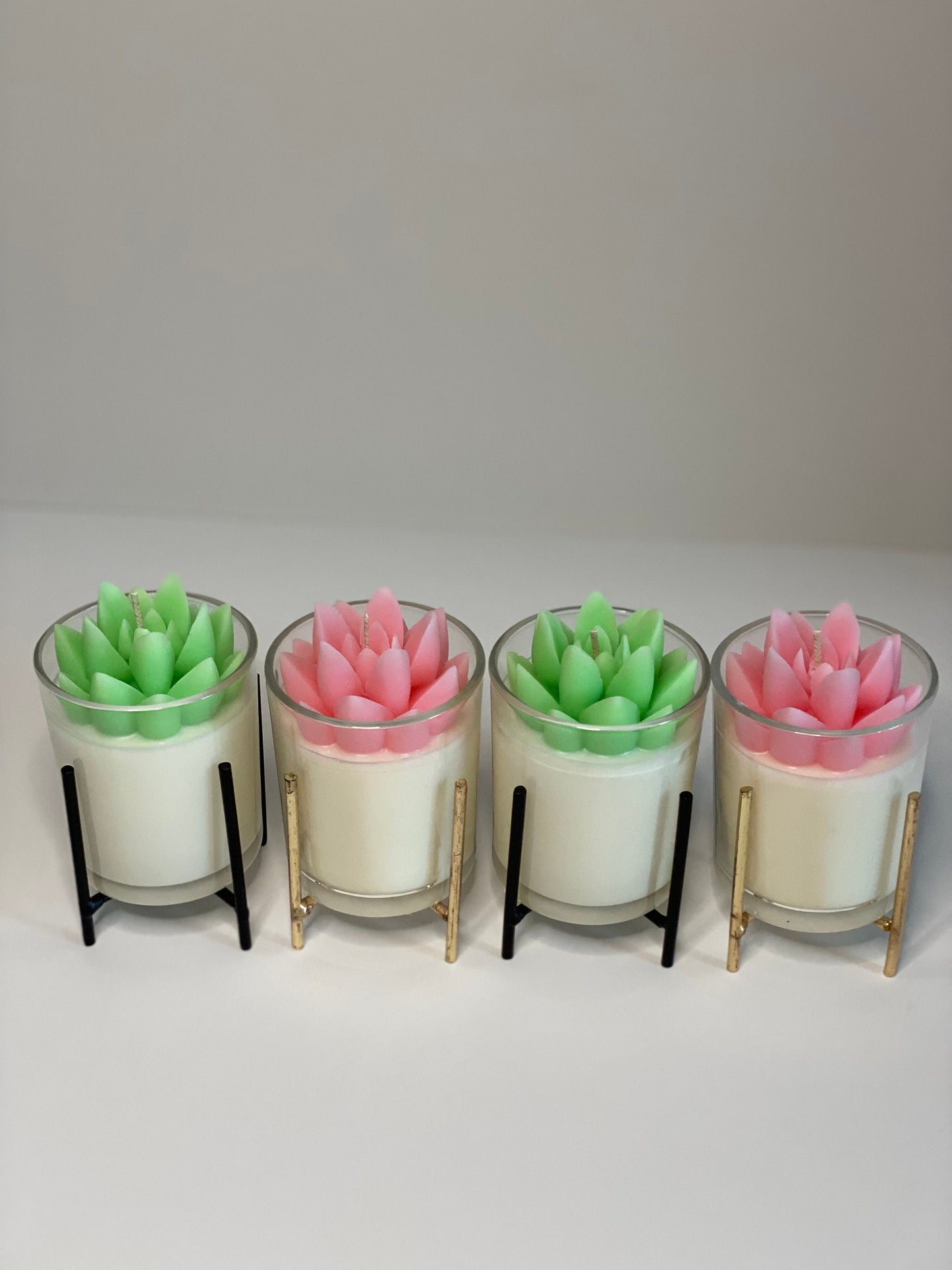 Succulent Bloom Candle | Mini Terrarium Plant All Natural Soy Candle