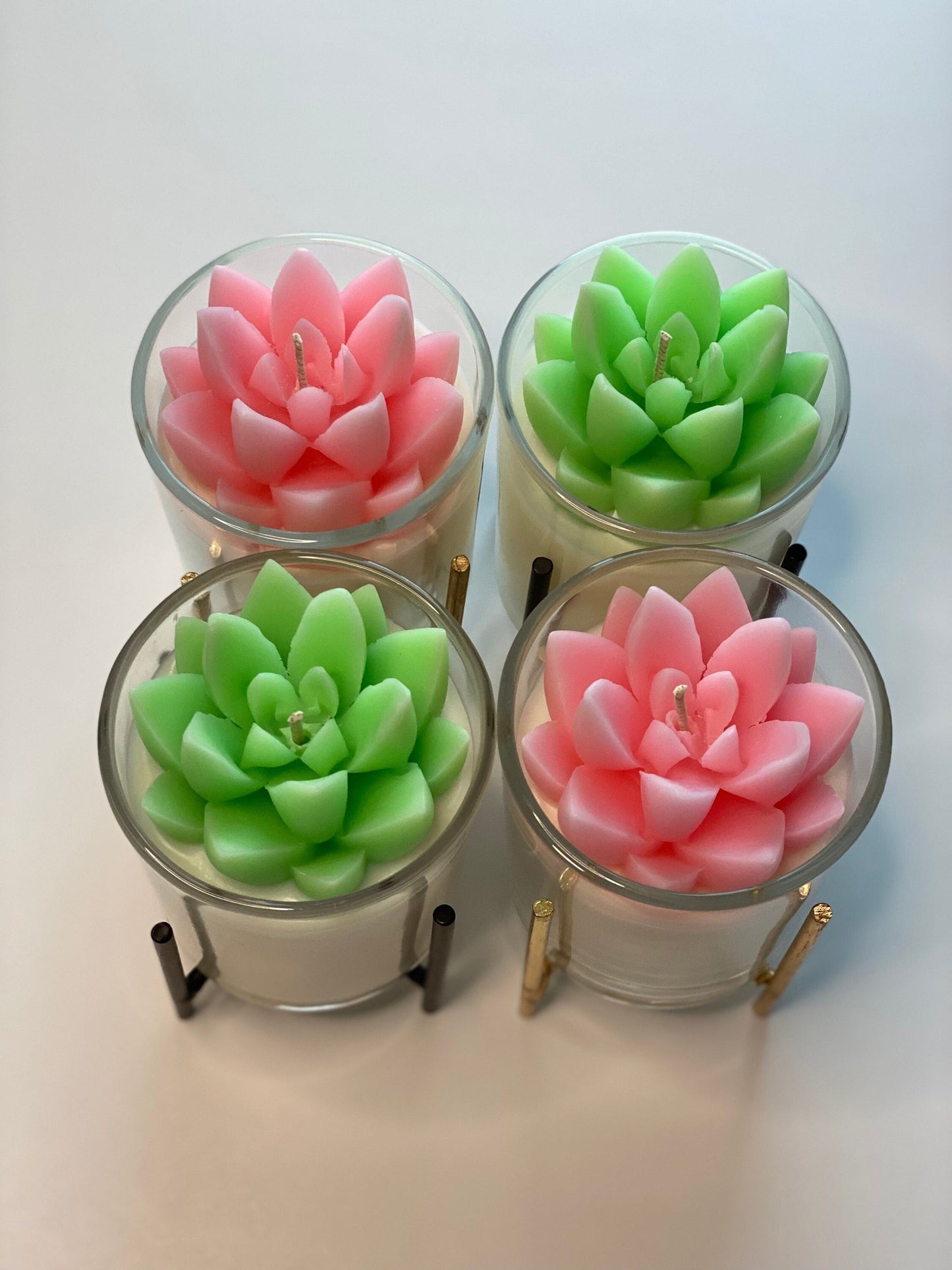 Succulent Bloom Candle | Mini Terrarium Plant All Natural Soy Candle