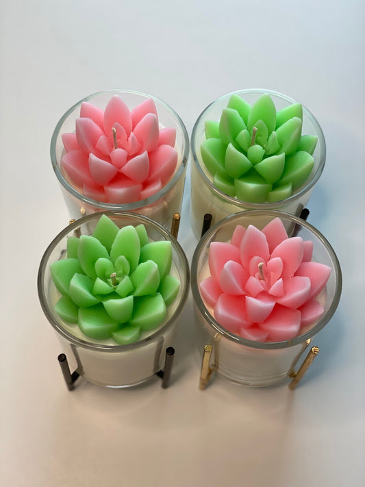 Succulent Bloom Candle | Mini Terrarium Plant All Natural Soy Candle